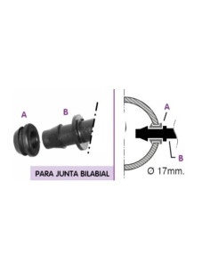 JUNTA BILABIAL TOMA GRAN CAUDAL 2