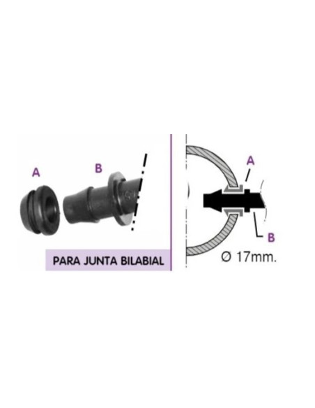 JUNTA BILABIAL TOMA GRAN CAUDAL