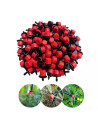PACK 100 GOTEROS REGULABLES 0-70 ROJO