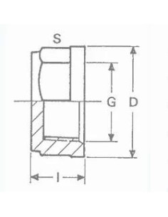 TAPON PVC ROSCA HEMBRA 1/2  2