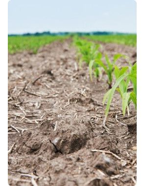 Electroválvula eléctrica AC 24v